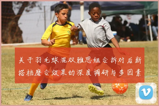 关于羽毛球混双雅思组合拆对后新搭档磨合效果的深度调研与多因素影响分析