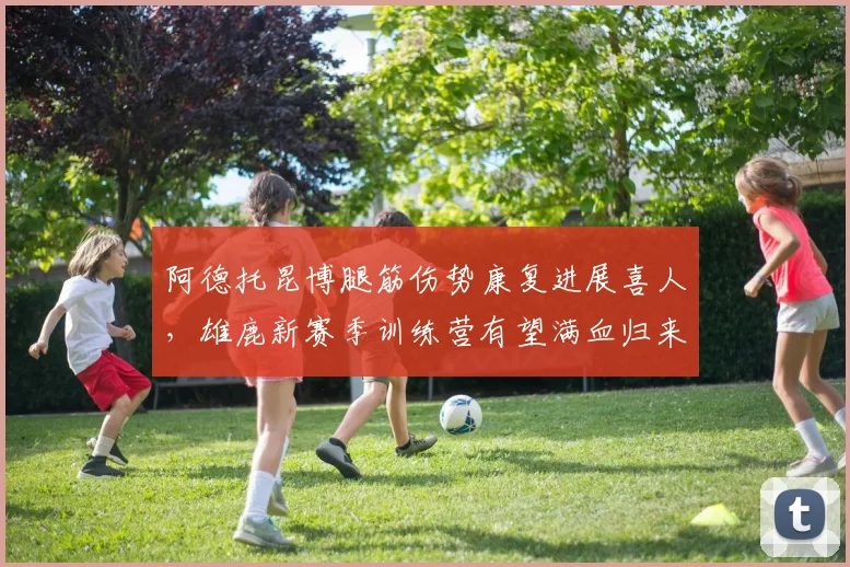 阿德托昆博腿筋伤势康复进展喜人,雄鹿新赛季训练营有望满血归来